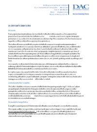 Document Preview